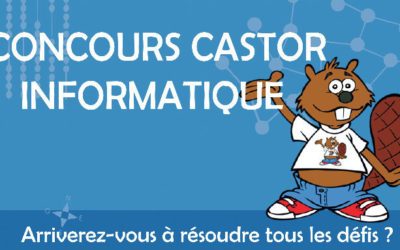 Concours Castor Informatique | 2019-2020