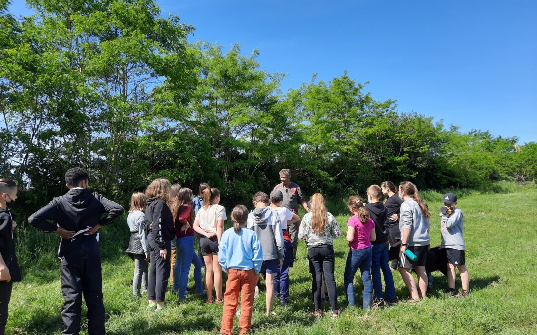 Sortie pédagogique à la ferme | 2021-2022